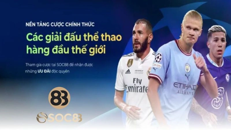 Danh mục mang đến trải nghiệm chuyên nghiệp cho người chơi